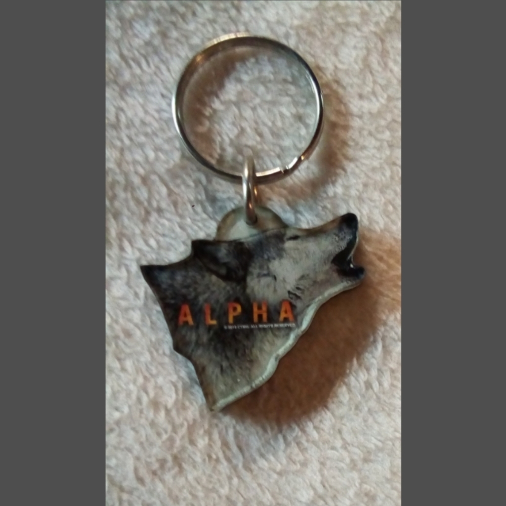 ALPHA KEY CHAIN NEW! NO TAG